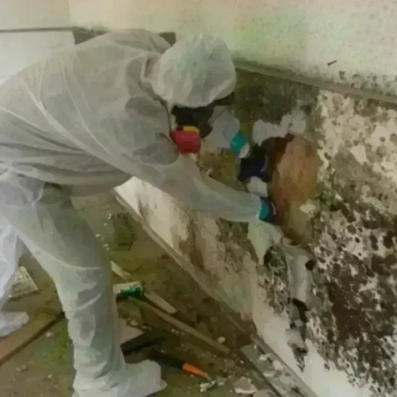 Mold Remediation and Removal in Sanbornton, NH